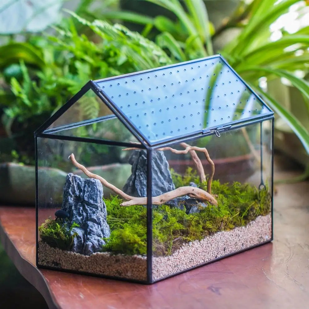 Handcrafted House-Shaped Glass Terrarium with Acrylic Lid, 10.2x5.9x8.2 Inches, Ideal for Snails and Indoor Decor (Plants Not In