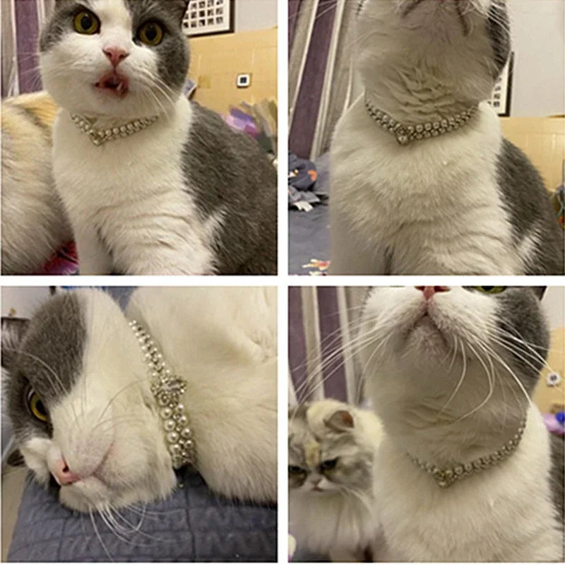XLeiPetCN Luxury Pearl Necklace Collar For Cats And Small Dogs