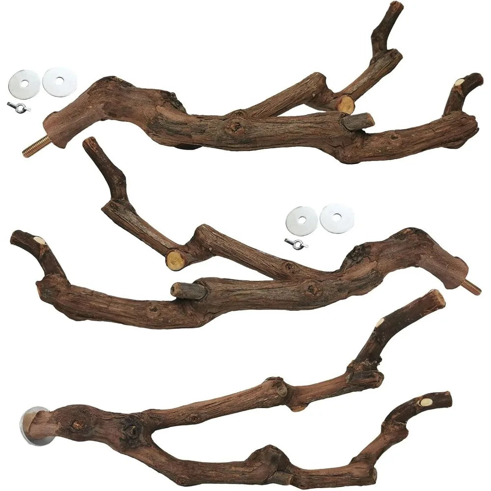 Natural Parrot Perch Grape Stick Grinding Fork Climbing Branches Chewable Cage Accessories for Small Birds 3PCS