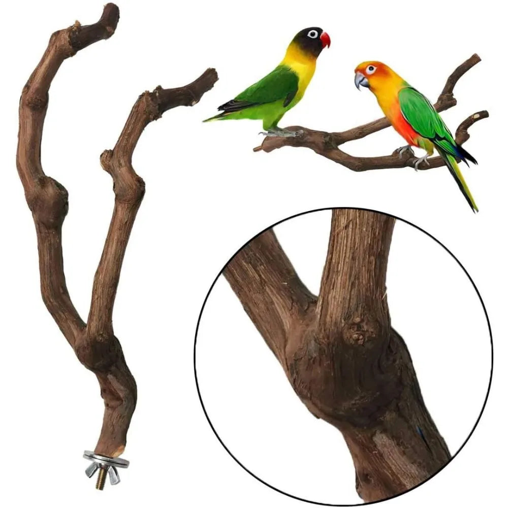 Natural Parrot Perch Grape Stick Grinding Fork Climbing Branches Chewable Cage Accessories for Small Birds 3PCS