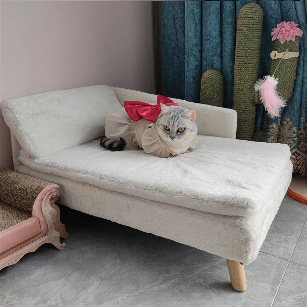 BORWART Luxury Elevated Dog Sofa Bed With Backrest Cushion