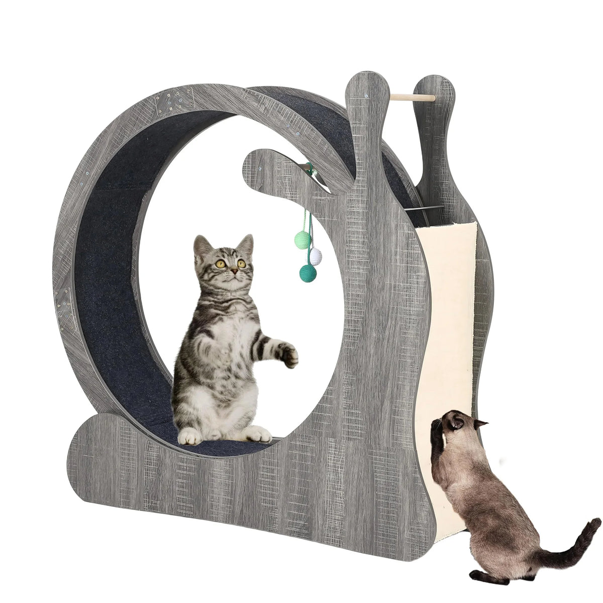 DishyKooker Cat Wheel Indoor Exercise Running Wheel With Scratching Board