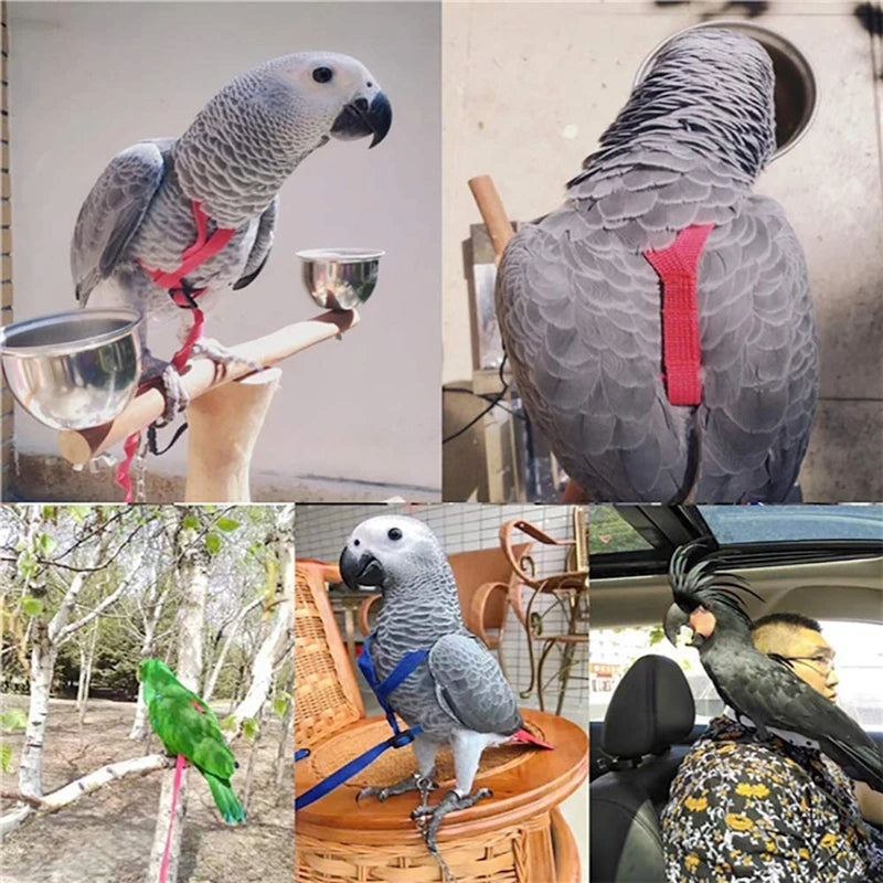 Parrot Bird Harness Leash Outdoor Activities Flying Traction Straps Band Flying Rope For Small Parakeets Cockatiels Bird NEW