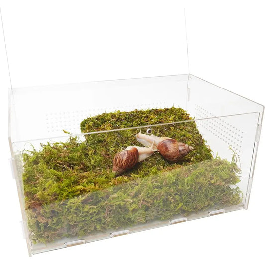 Small Animal Habitat Kit - 11.22L x 7.87W x 6H Clear Glass, with 7 Climbing Wall & Substrate for Snails, Caterpillars & Small Cr