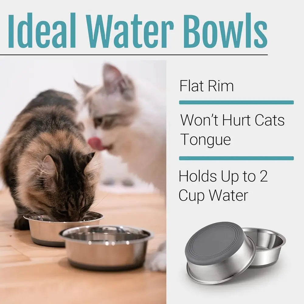 Nonslip Stainless Steel Dog Cat Bowls, 2 US Cups, 2 Count