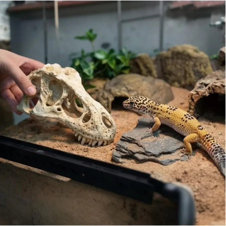 CLEEN T-Rex Skull Reptile Hide - Dinosaur Bone Terrarium Decor for Lizards Snakes Bearded Dragon, Realistic Fossil Cave Aquariu
