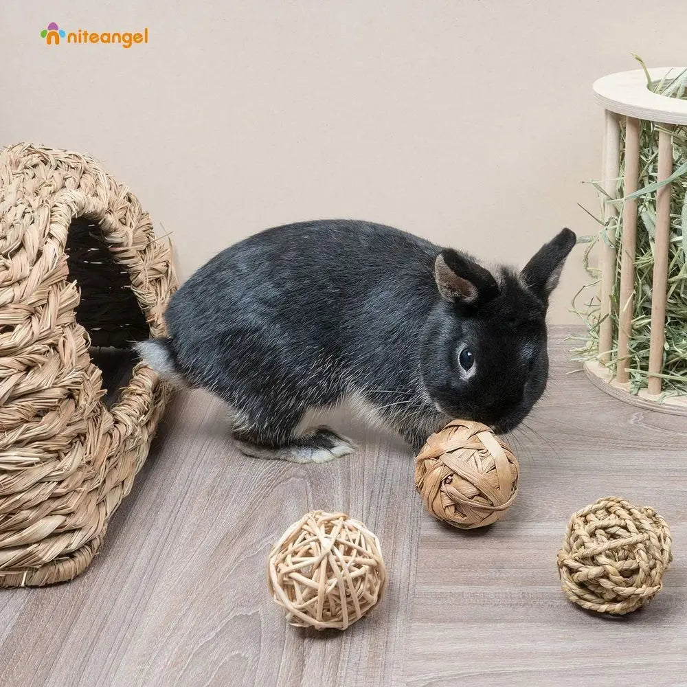 Small Animal Activity Toy, Pet Balls for Chinchilla Guinea Pig Rats Rabbits Hamster Gerbil Degu Bunny and Other Small Animals