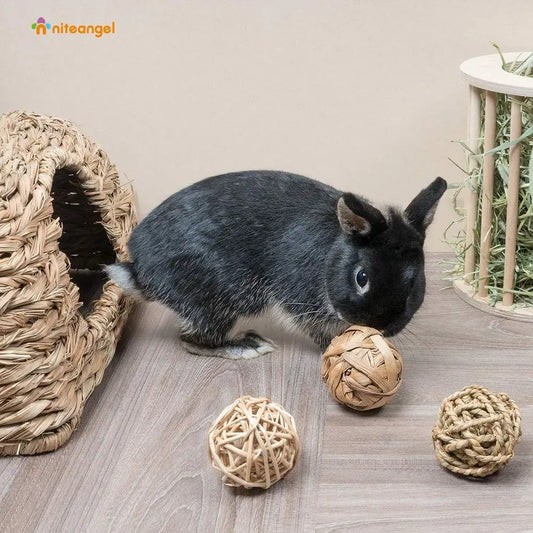 Small Animal Activity Toy, Pet Balls for Chinchilla Guinea Pig Rats Rabbits Hamster Gerbil Degu Bunny and Other Small Animals