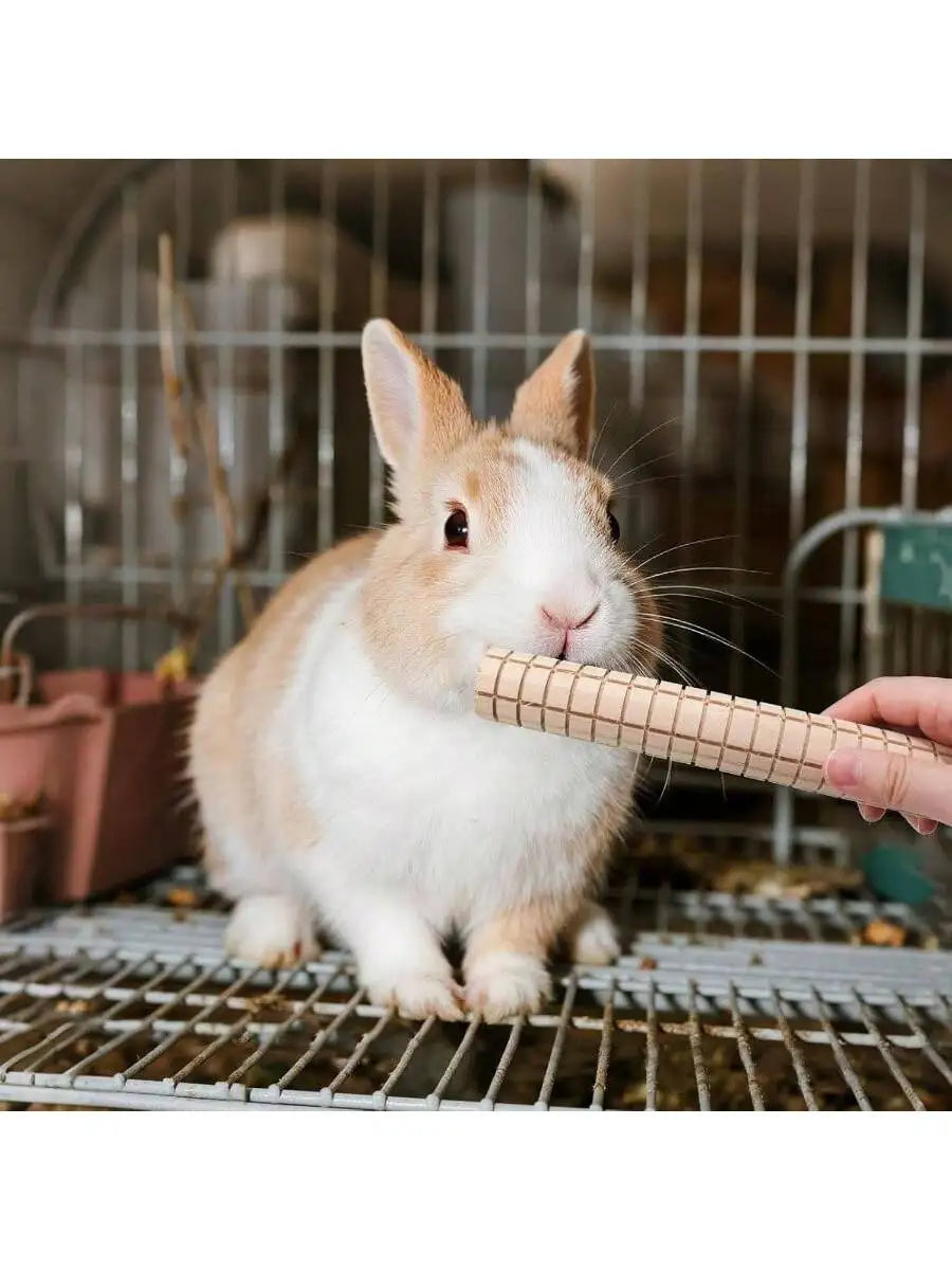 Wooden Chew Toy For Guinea Pig Rabbit Hamster Chinchilla Rat Small Animal Cage Accessory