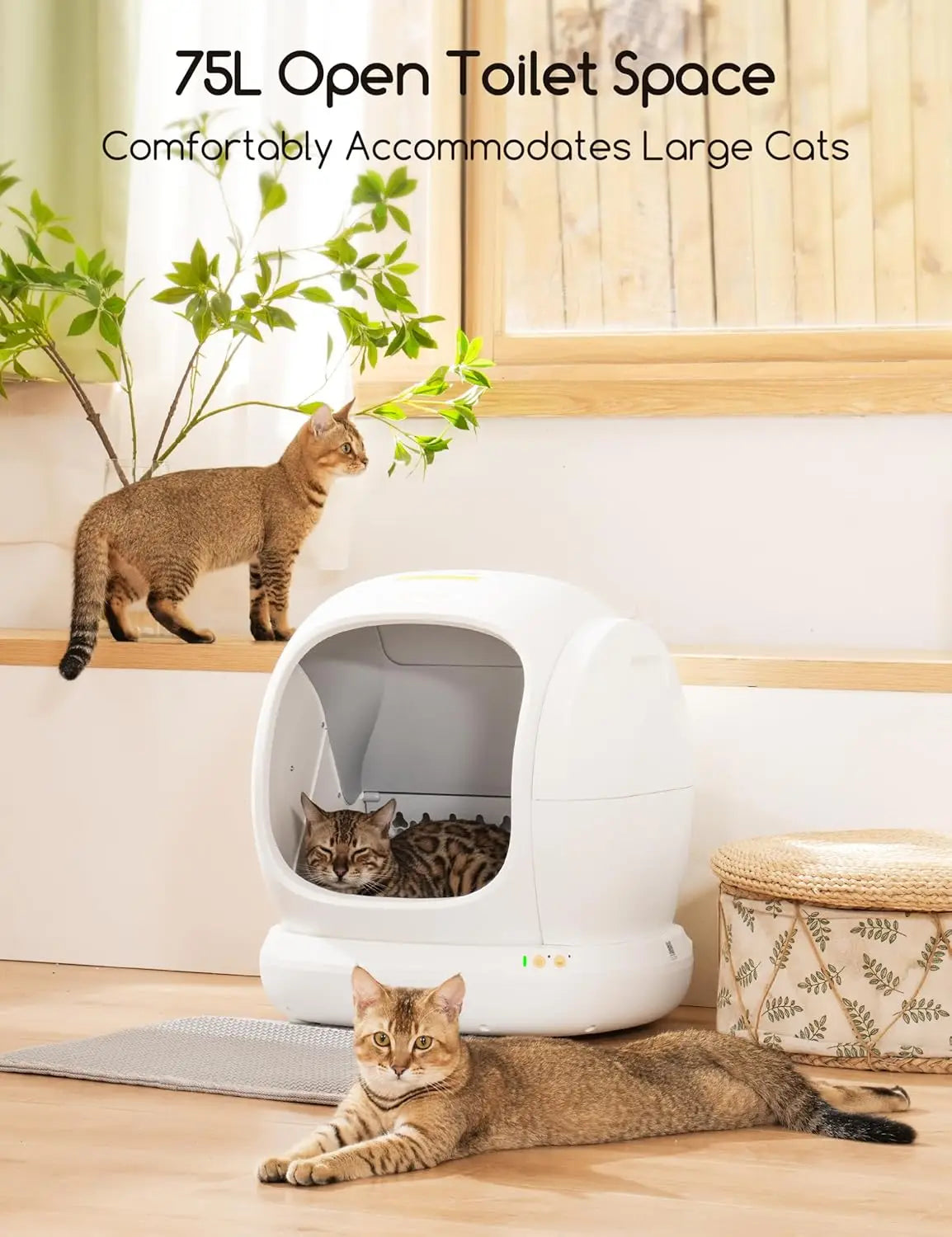 Automatic Cat Litter Box Self Cleaning Extra Large 75l Open Smart Multi Cats Mat Liner Odor Removal App Control Safety Protectio