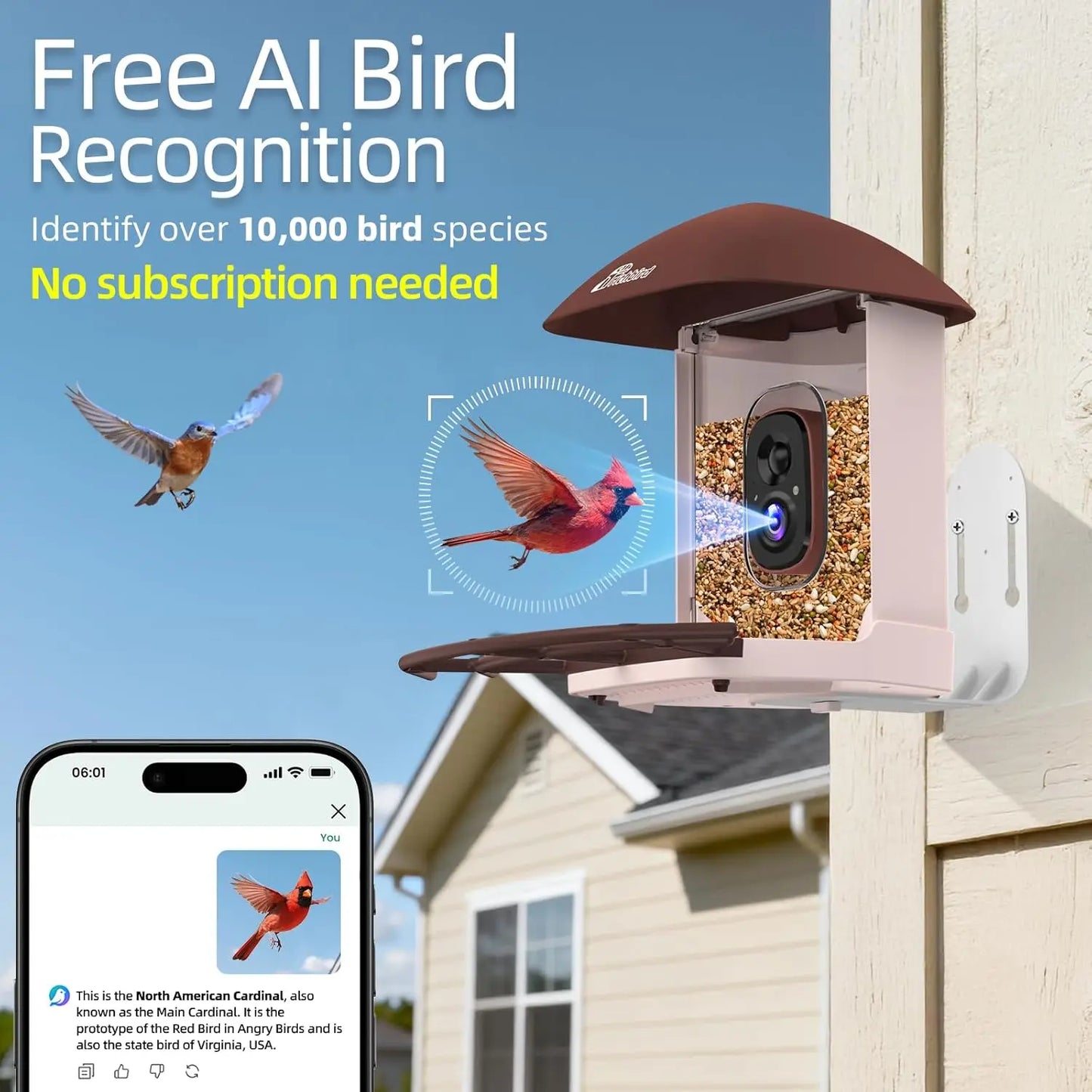 2.5K HD Solar Bird Feeder Camera, AI Bird Recognition, Auto Capture & Alerts, Brown