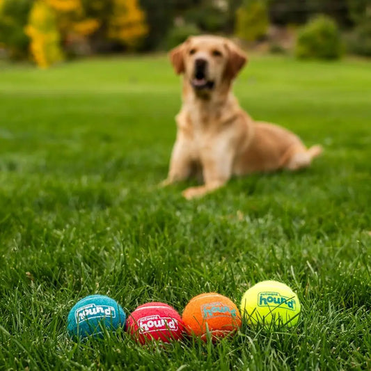 Squeaker Ballz - Squeaky Tennis Balls for Dogs Under 50 lbs, Interactive Dog Toy, Medium (2.5), 4-Pack