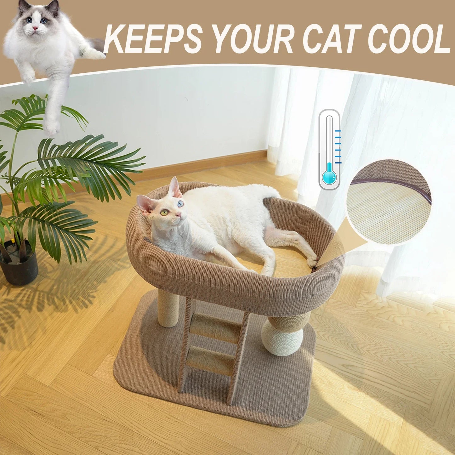 Small and Cute Cat Scratching Post, Suitable for Indoor Cats and Kittens, Sisal Scratching Board with Plush Bed Habitat, and Includes an Auxiliary Climbing Ladder