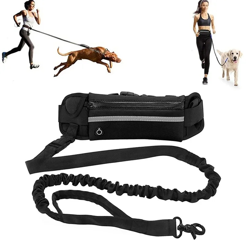 Hands Free Dog Leash With Reflective Retractable Belt Waist Bag