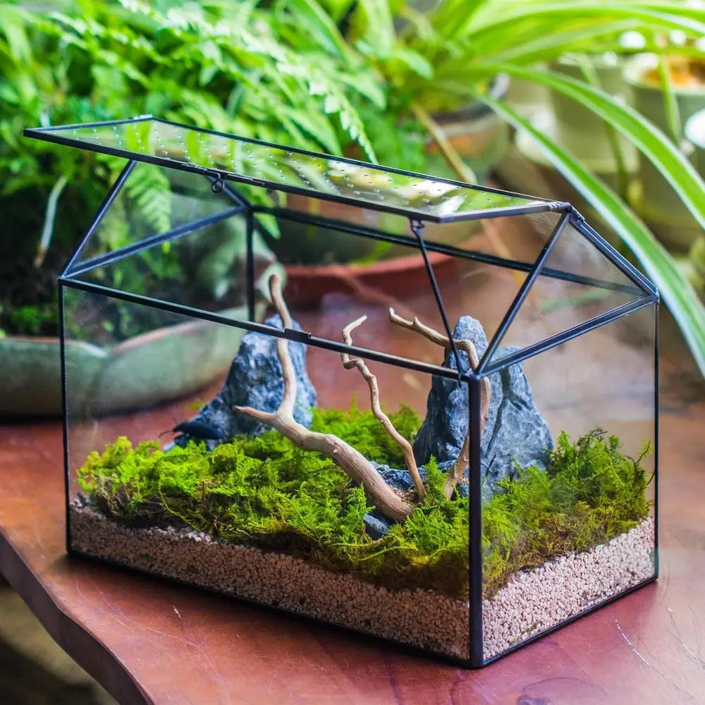 Handcrafted House-Shaped Glass Terrarium with Acrylic Lid, 10.2x5.9x8.2 Inches, Ideal for Snails and Indoor Decor (Plants Not In