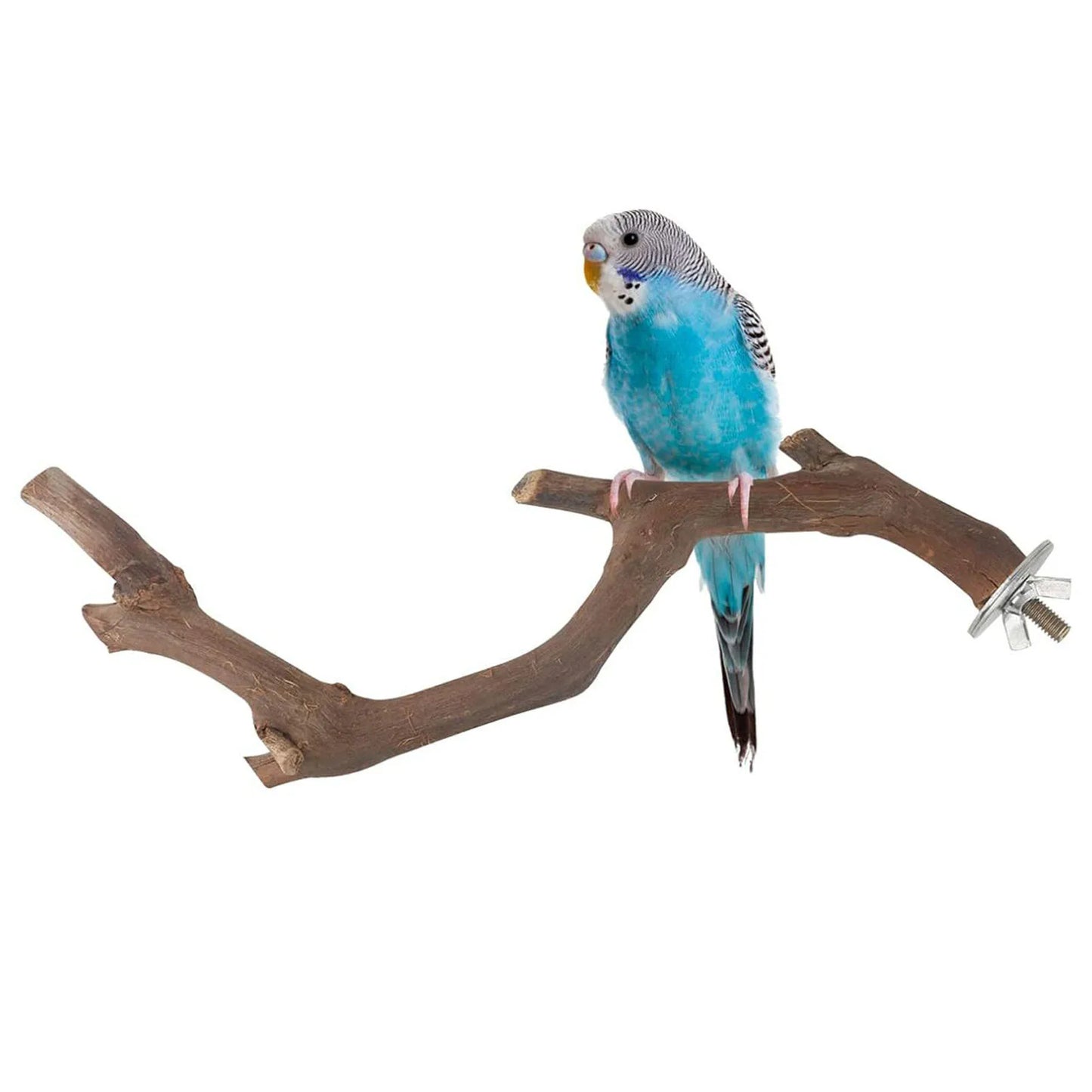 5PCS Wooden Parrot Stand Branch Made of Natural Trees Safe Branch for Small Parrot Birds