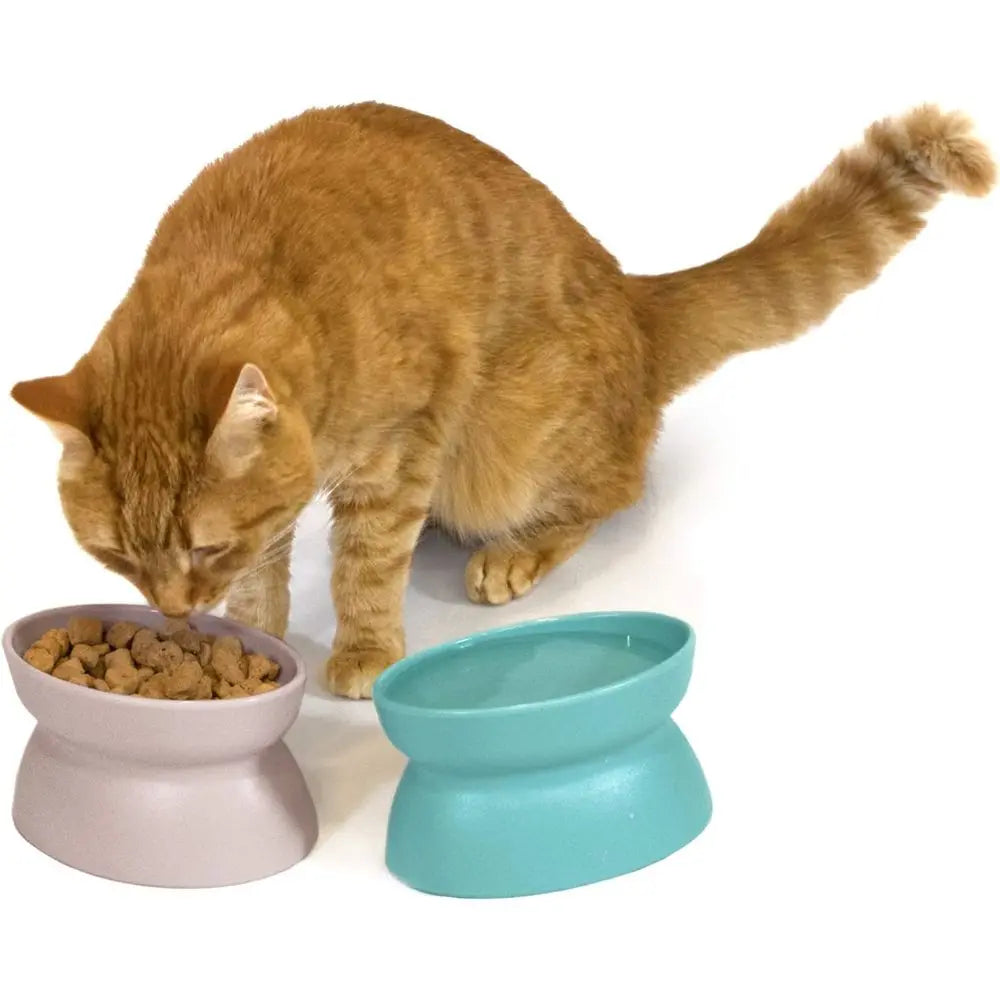 Elevated Cat Bowls Set of 2, Raised Food & Water Dishes, Pedestal Design, Dishwasher Safe, 6.5 oz Each – Teal & Light Pink