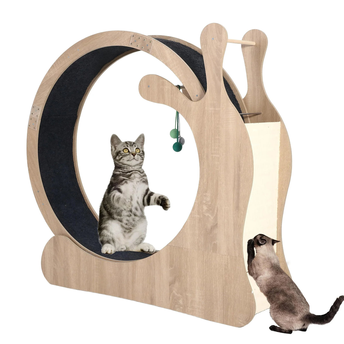 DishyKooker Cat Wheel Indoor Exercise Running Wheel With Scratching Board
