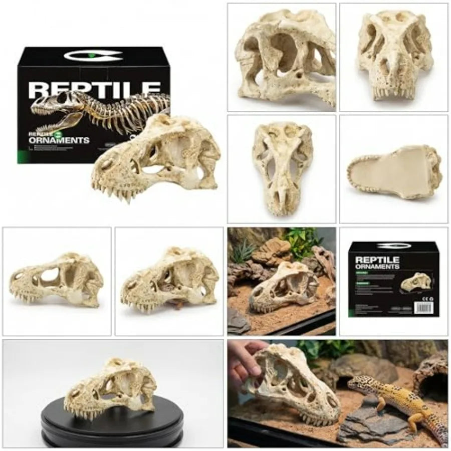CLEEN T-Rex Skull Reptile Hide - Dinosaur Bone Terrarium Decor for Lizards Snakes Bearded Dragon, Realistic Fossil Cave Aquariu