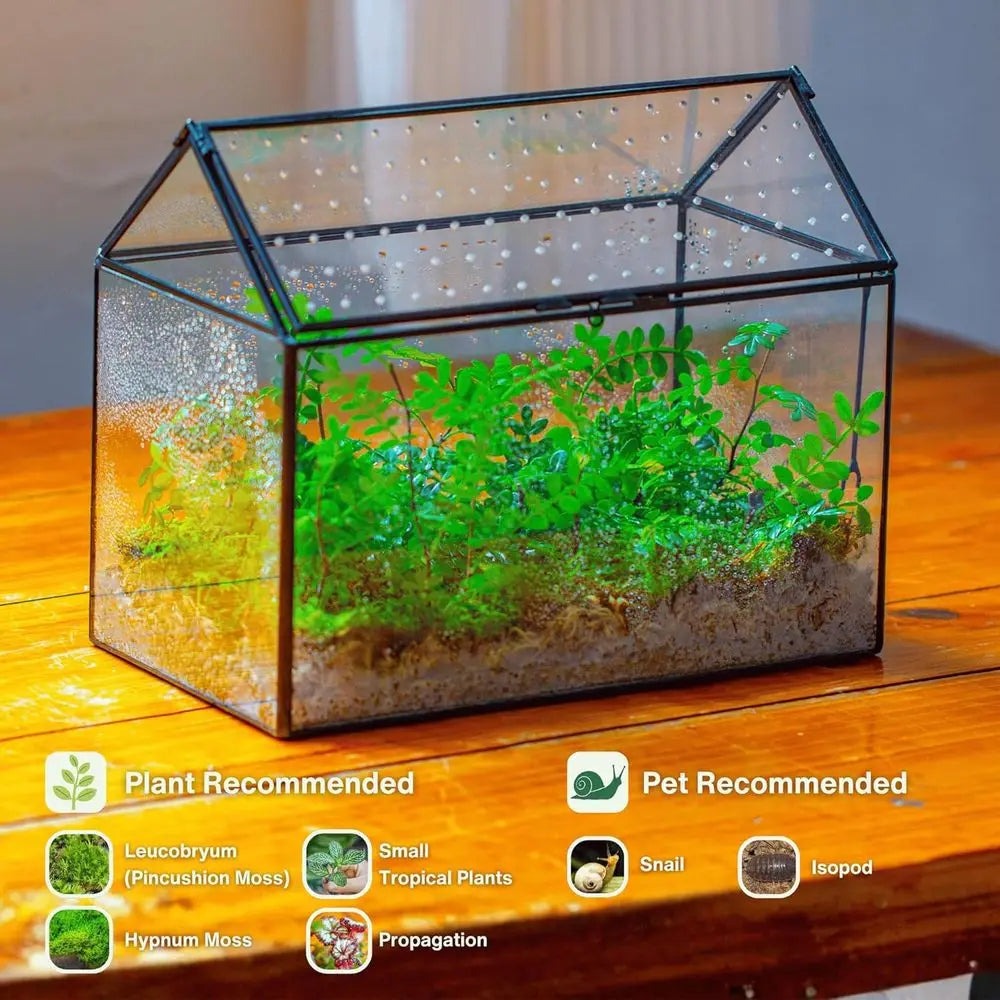 Handcrafted House-Shaped Glass Terrarium with Acrylic Lid, 10.2x5.9x8.2 Inches, Ideal for Snails and Indoor Decor (Plants Not In