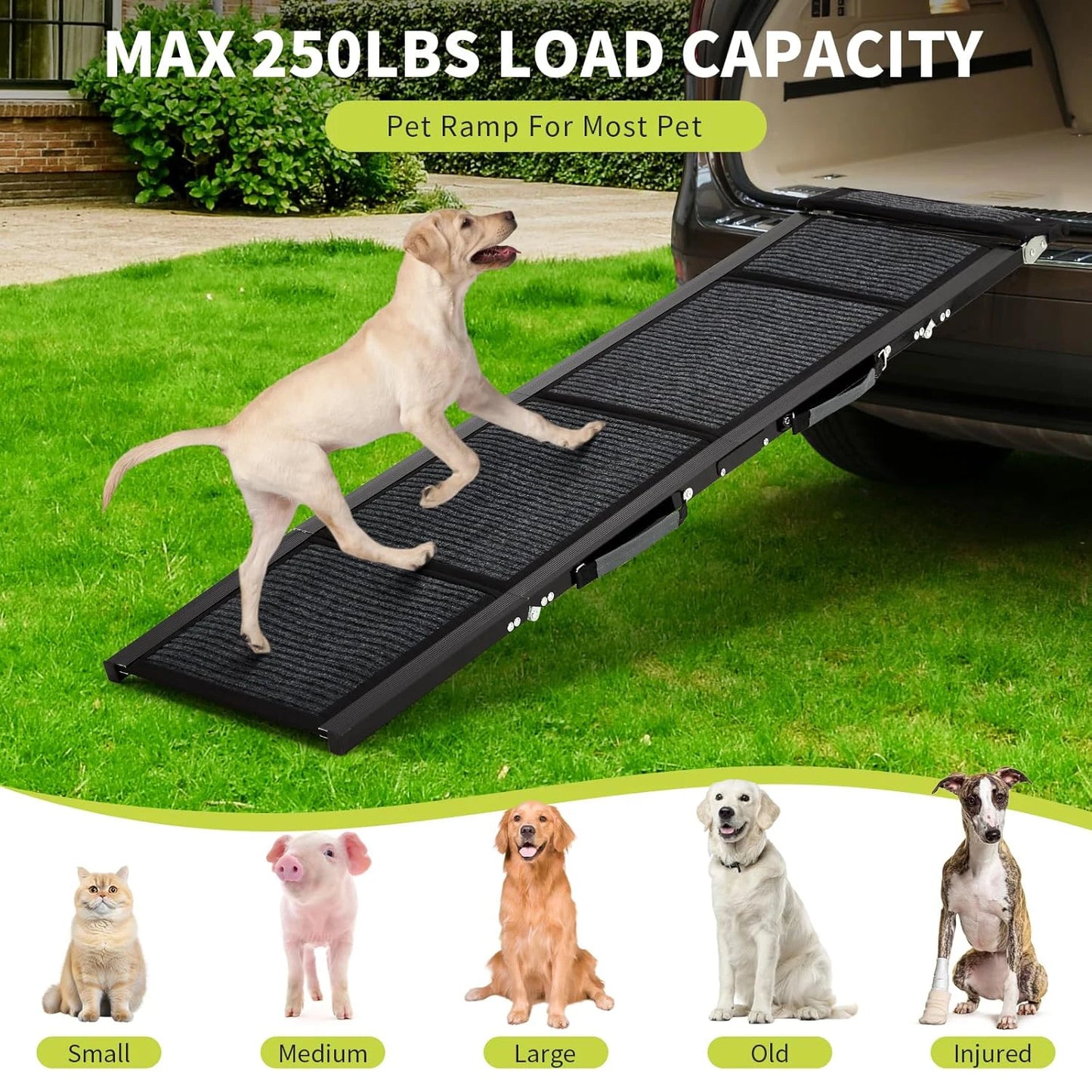 HiMISSDog Upgraded Folding Pet Ramp For Cars Non Slip Portable