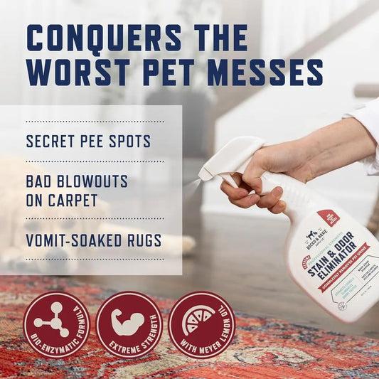 Powerful Stain & Odor Eliminator for Pets: Urine, Feces, and Accidents Cleaner