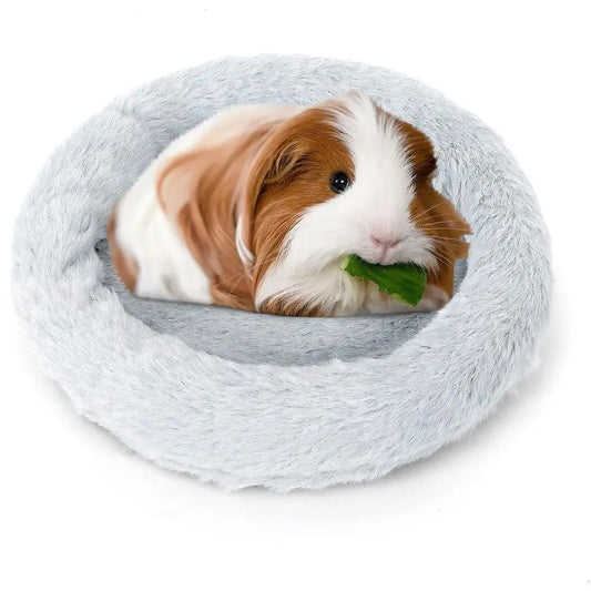 Guinea Pig Beds, Hamster Bed, HedgeBed, Hamster Hedge, Squirrel, Tortoise, Lizard, and Other Small Animal Beds