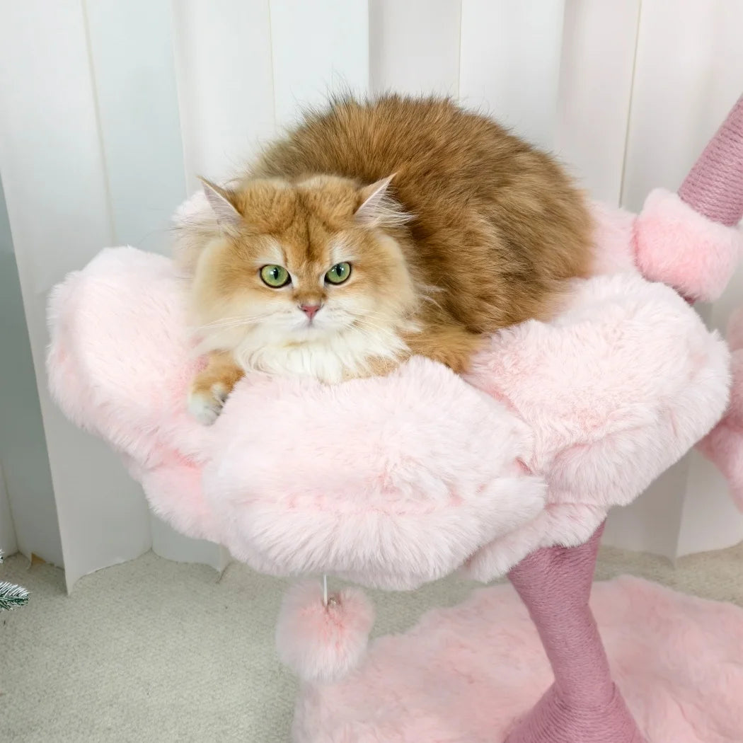BORWART Cat Tree Tower With Scratching Post Cushioned Bed And Hanging Ball Toy