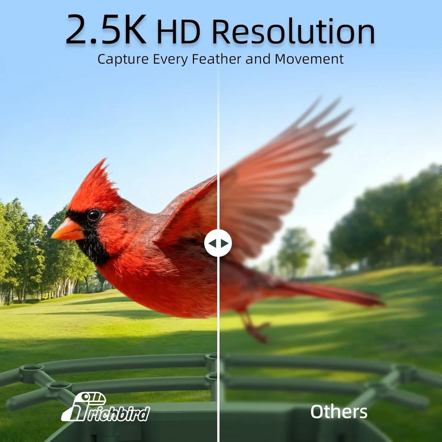 2.5K HD Solar Bird Feeder Camera, AI Bird Recognition, Auto Capture & Alerts, Brown
