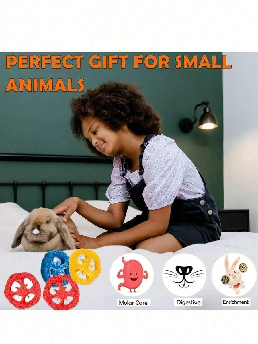 7-Piece Small Pet Teething Toy Set For Rabbits Hamsters Dental Care Chew Toys Wooden Loofah Grass Ball