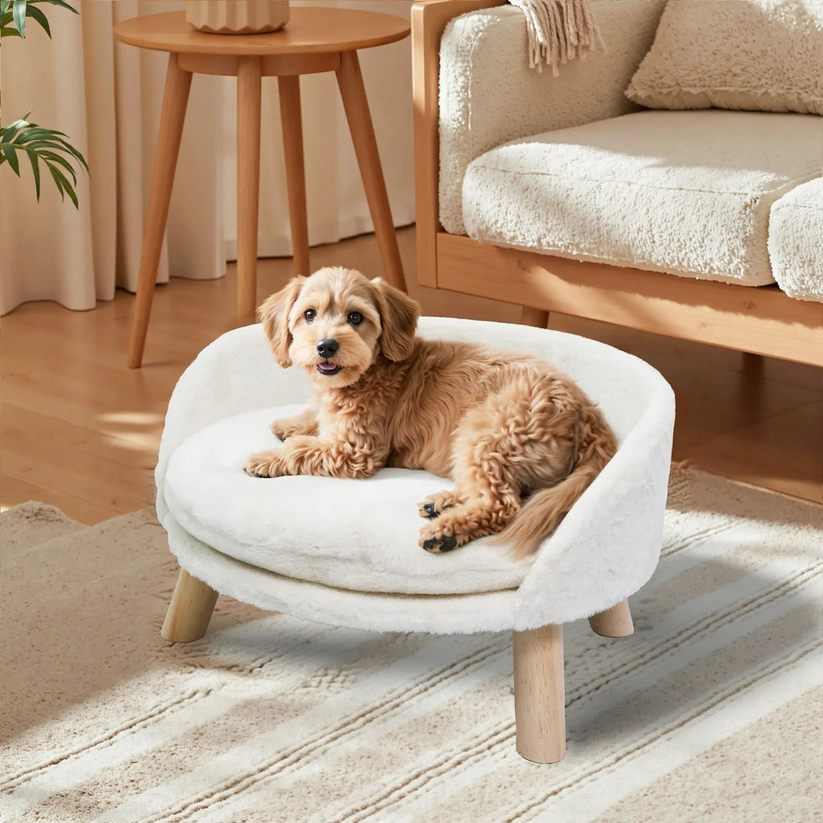 BORWART CN Ultra Soft Elevated Dog Cat Sofa Bed Lounger