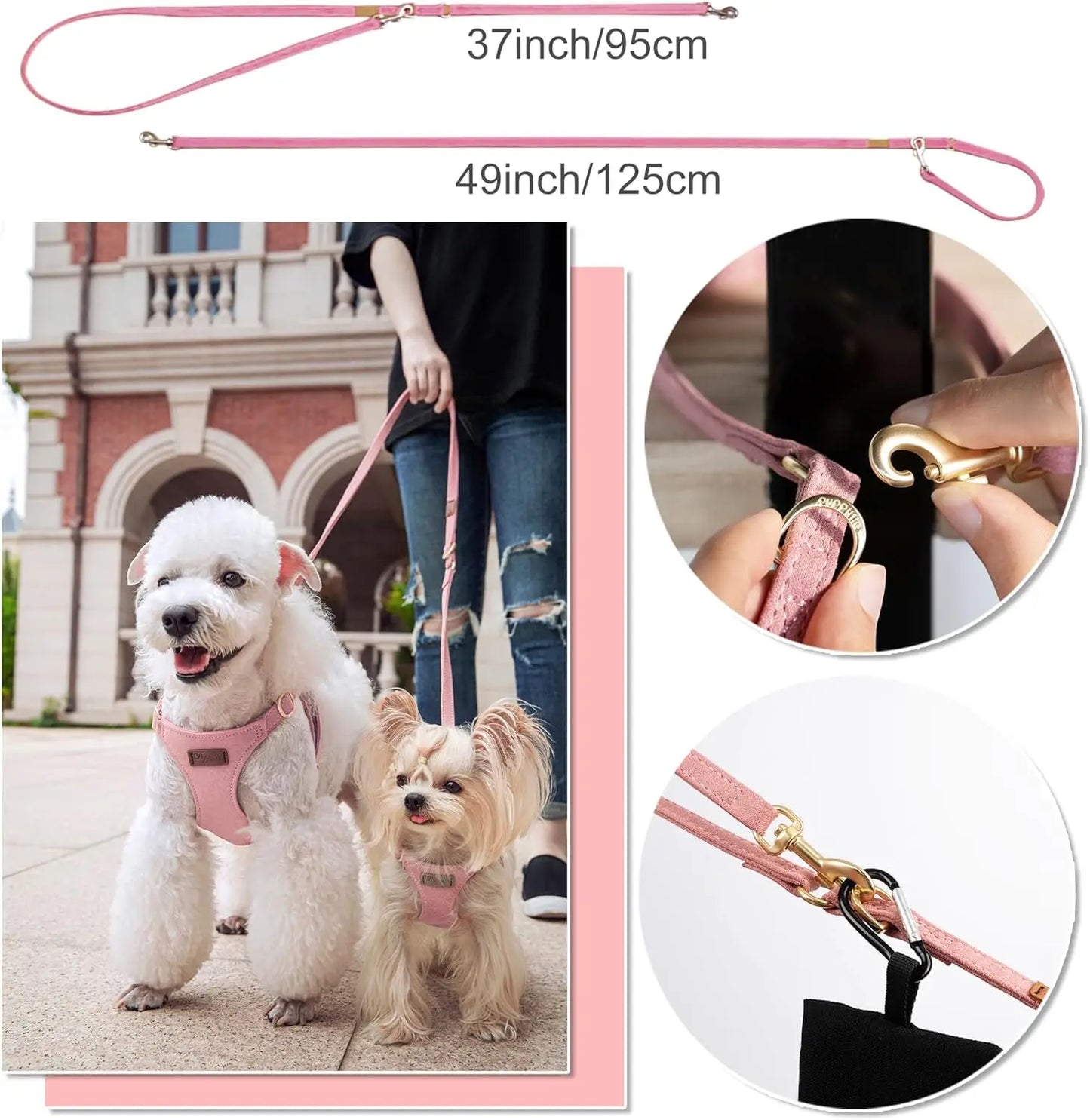 Adjustable No-Pull Dog Harness With Leash For Small Dogs