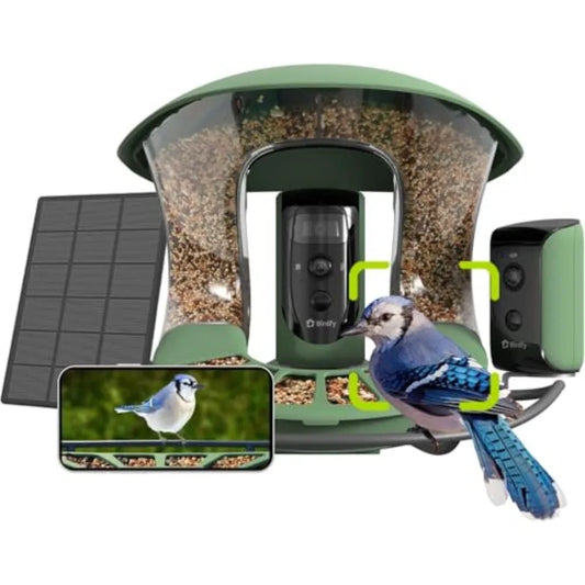 Smart Bird Feeder With Dual Cameras And Solar Power