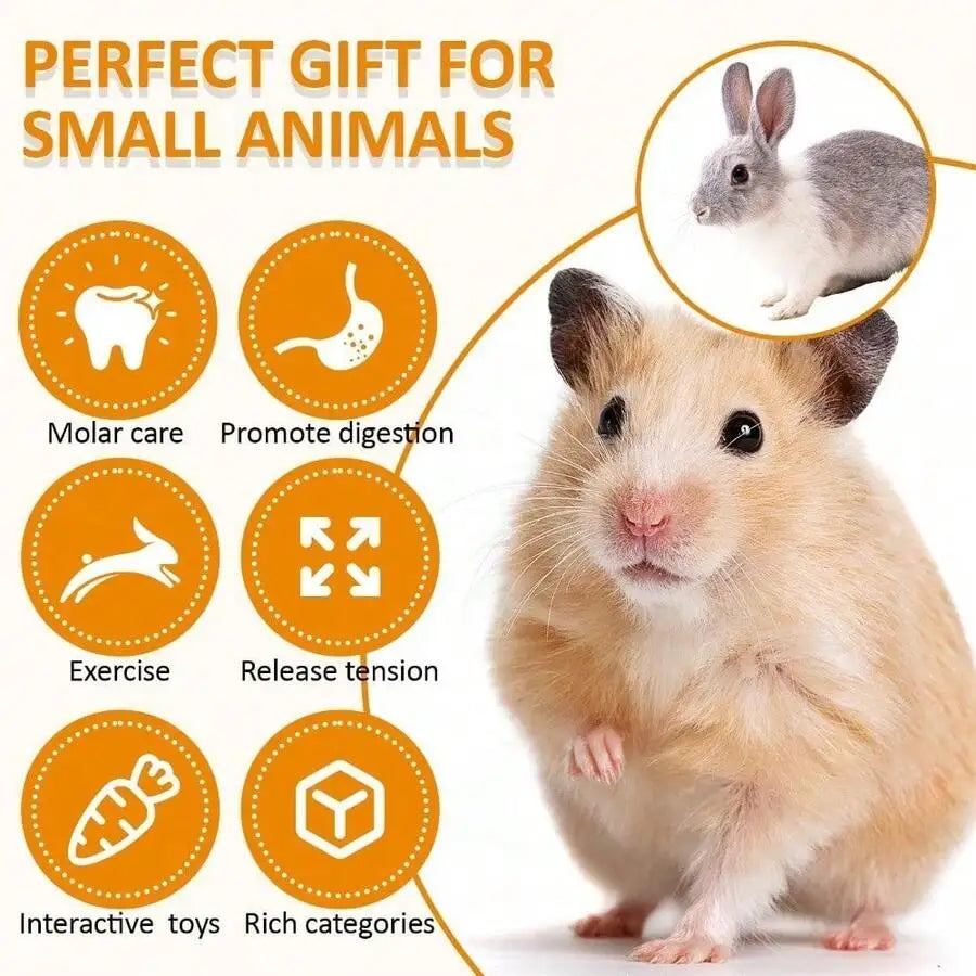 Small Pet Chewing Toys Set Wood Hay Swing Seesaw Bridge For Guinea Pig Rat Chinchilla Gerbil Rabbit