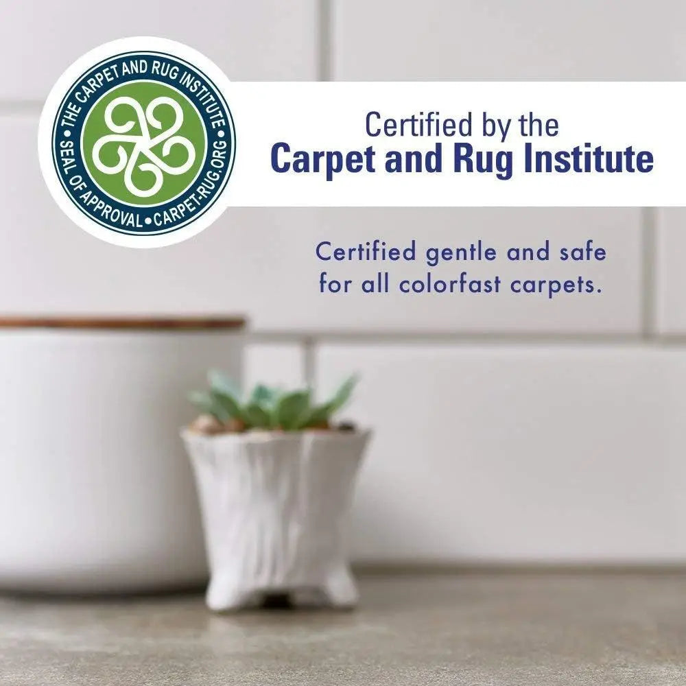 Oxygen-Powered Stain Remover Spray for Carpets, Pet Stains, Upholstery, Laundry, and More