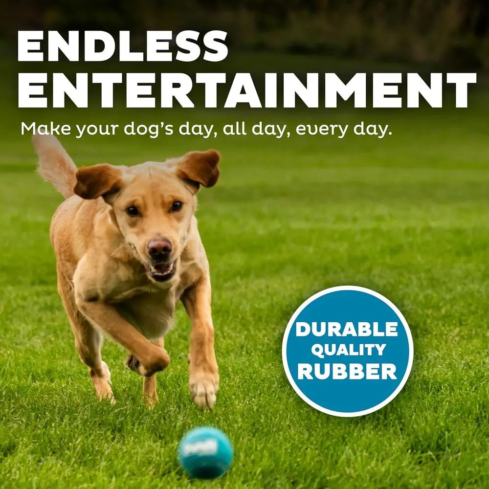 Squeaker Ballz - Squeaky Tennis Balls for Dogs Under 50 lbs, Interactive Dog Toy, Medium (2.5), 4-Pack