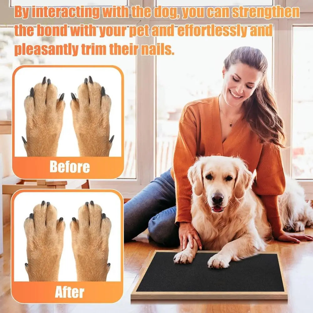 Nail Sel Adhesive Replacement Emery Paper for Dog Scratch Pad Cat Litter Box DIY on Places Pets Scratch Alternatives to Cat and