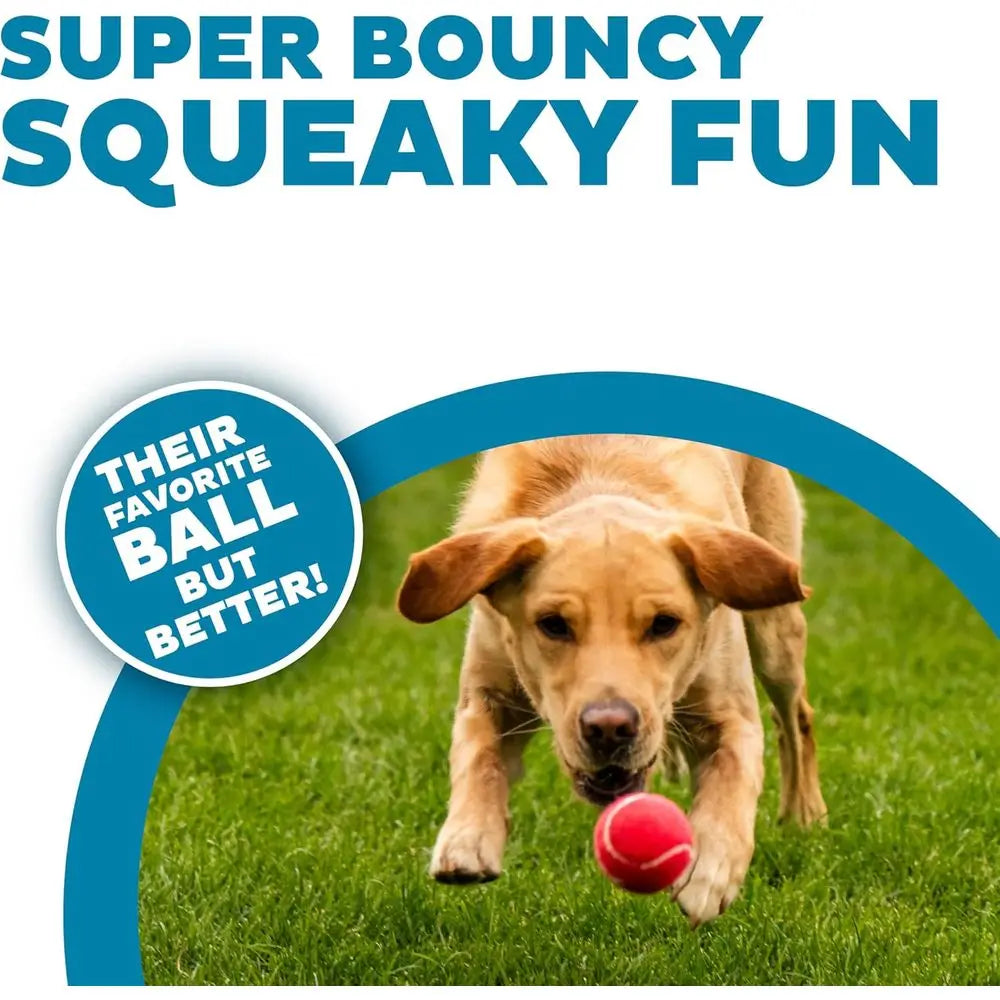 Squeaker Ballz - Squeaky Tennis Balls for Dogs Under 50 lbs, Interactive Dog Toy, Medium (2.5), 4-Pack