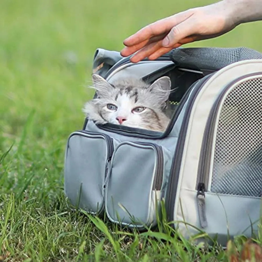Cat Carrier, Soft-Sided Small Dog Carrier, Large Cat Travel Bag with 4 Mesh Windows, Under 15 lb Airline Approved Pet Carrier w