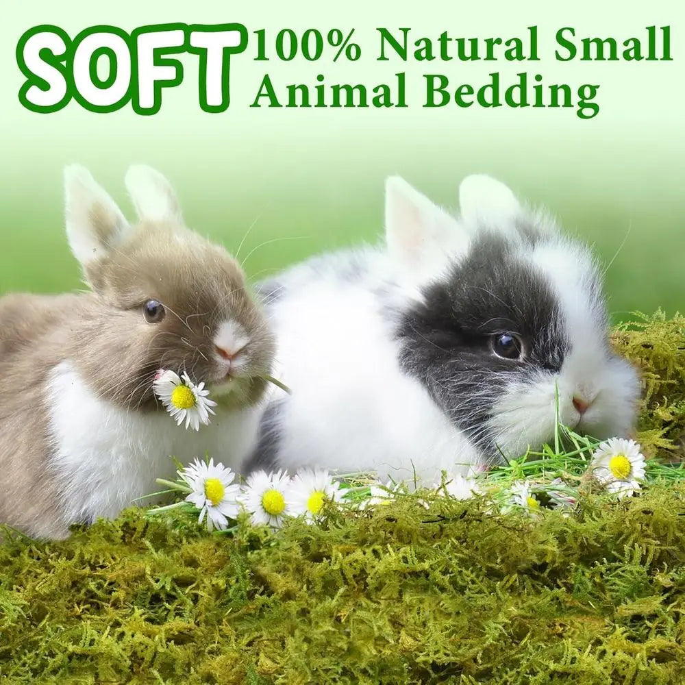 25QT Hamster Moss or Bedding Nesting Hideout, 100% Natural Moss for Rabbits, Squirrels, Hamsters, Guinea Pigs, Small Animals Cag