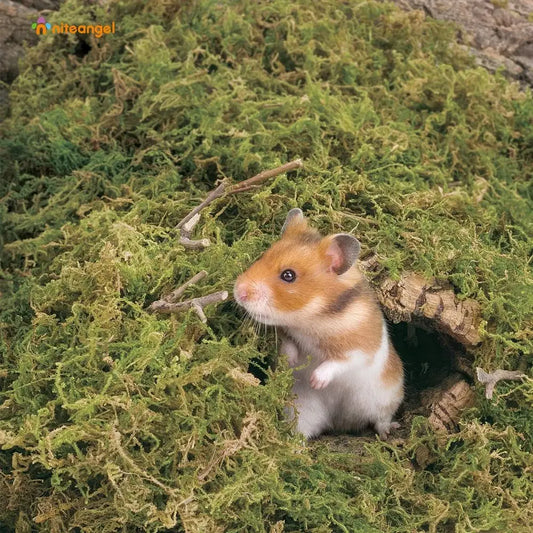5L Natural Moss Bedding Nesting for Dwar Syrian Hamsters, Gerbils, Mice, Degus or Other Small Animals