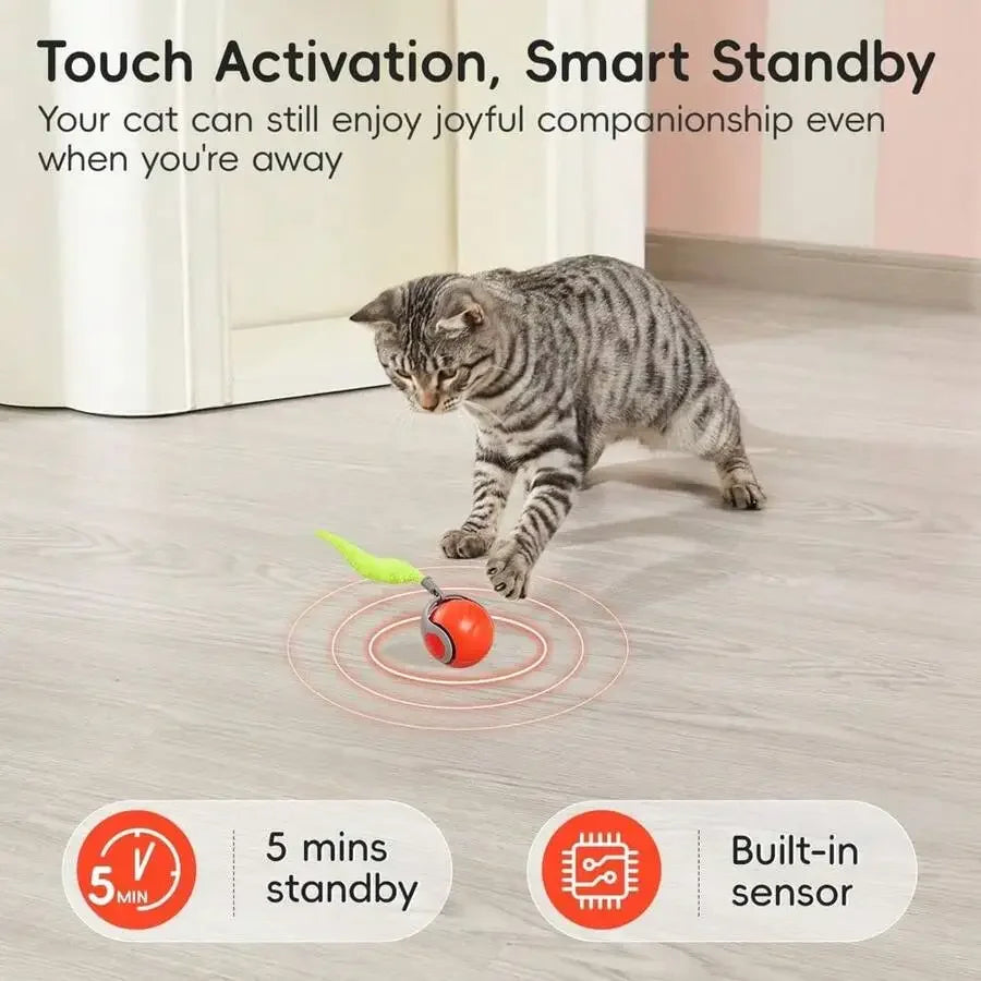Interactive Rolling Ball Cat Toy With Feather Tail Rechargeable Smart Auto Motion For Indoor Cats