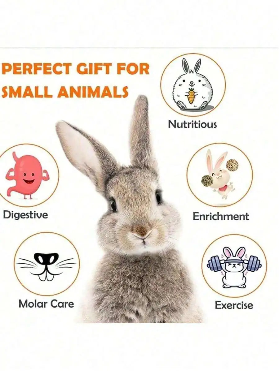 7-Piece Small Pet Teething Toy Set For Rabbits Hamsters Dental Care Chew Toys Wooden Loofah Grass Ball