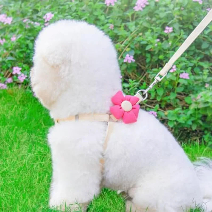 Dog Harness Collar and Leash Set, Sweet Floral Puppy Collar, Escape Proof Puppy Chest Harness, Adjustable Cute Harness Leash Se