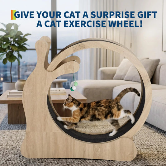 DishyKooker Cat Wheel Indoor Exercise Running Wheel With Scratching Board