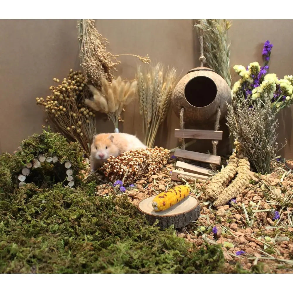 Hamster Bedding lowers Herbs Sprays Treat Cage Habitat Enclosure Decor Dwar Syrian Gerbils Mice Mouse Rat Pet Accessories Suppli