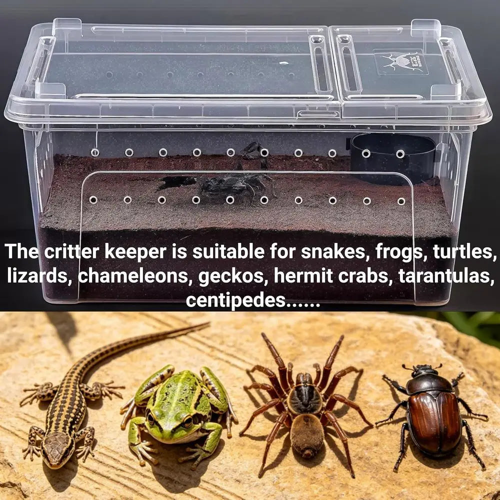 Portable Clear Plastic Terrarium Enclosure, 12.6x8.7x6 with Feeding and Water Bowls, Ventilated Lid for Small Pets