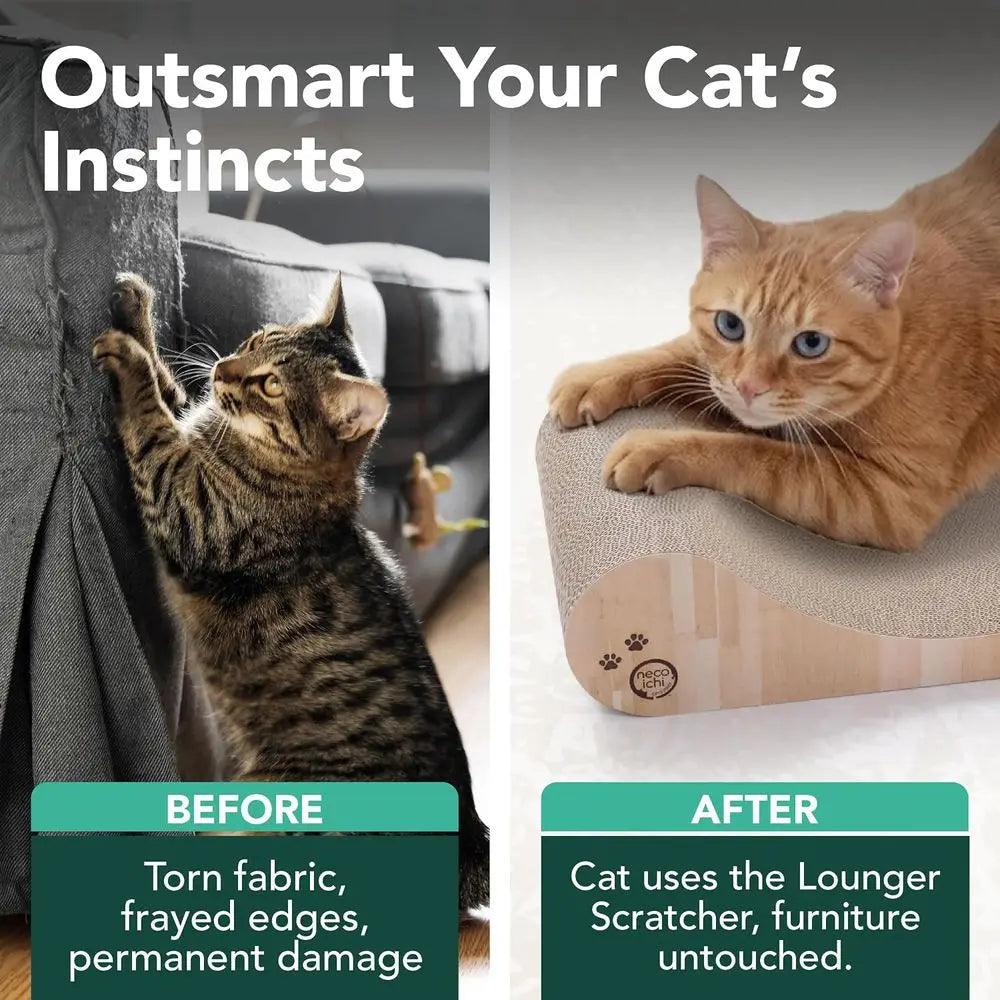 Cardboard Cat Scratcher Bed Indoor Cats - Horizontal Cat Scratch Pad Lounger with Reversible Usability and Extra Comfort or Loun
