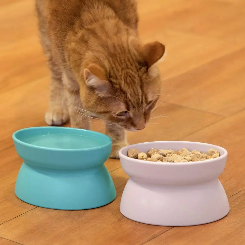 Elevated Cat Bowls Set of 2, Raised Food & Water Dishes, Pedestal Design, Dishwasher Safe, 6.5 oz Each – Teal & Light Pink