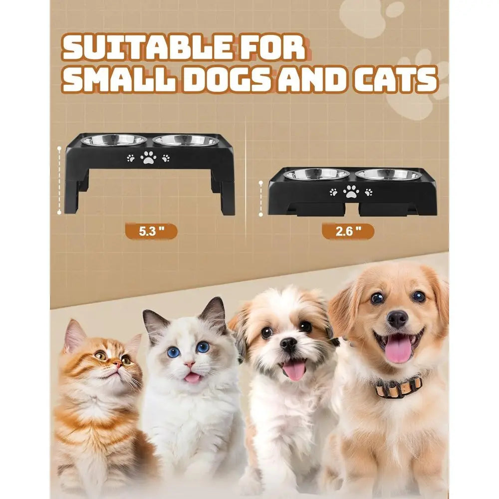 Elevated Dog Bowls for Small Dogs and Cats, Non-Slip Cat Bowls with 2 Thick 5.5 Stainless Steel Dishes, Adjustable Dog Feeder 2.